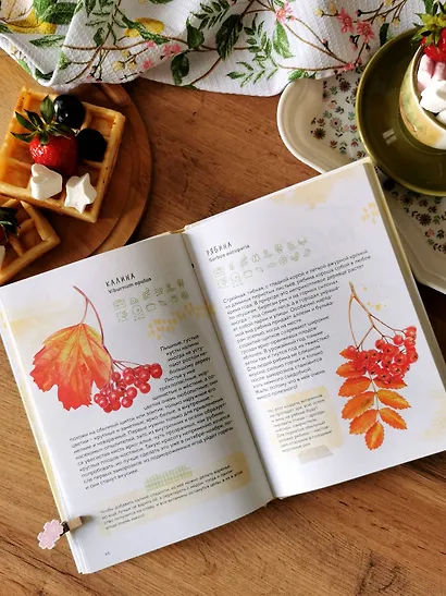 Ягоды. Атлас-определитель - фото 8