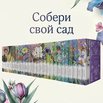 Леди Сьюзен - фото 9