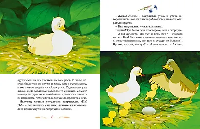 Гадкий утенок - фото 10