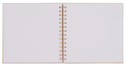 Скетчбук 195*195 40л "Дюрер. Снегирь в трех ракурсах" 160г/м2, тв.обложка, спираль - фото 4