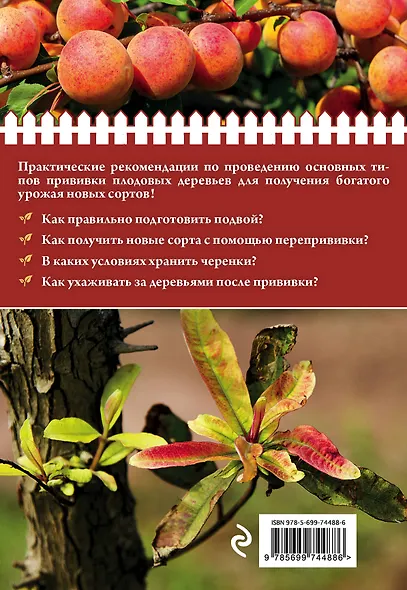 Урожайная прививка для вашего сада - фото 2