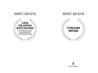 Утренняя звезда - фото 4