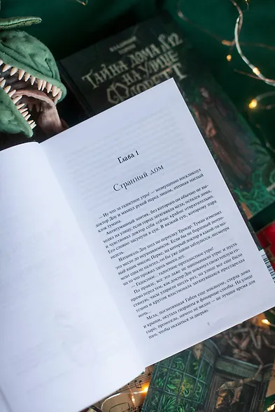 Тайна дома №12 на улице Флоретт - фото 10