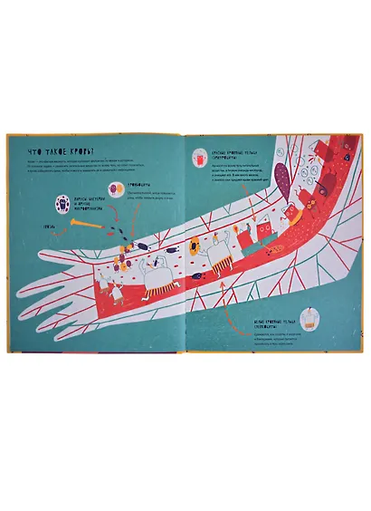 Тайная жизнь болячек - фото 3