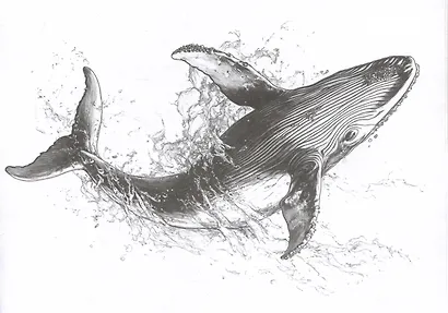 Мои скетчи для начинающих. Живтные. 15 готовых эскизов животных для штриховки - фото 4