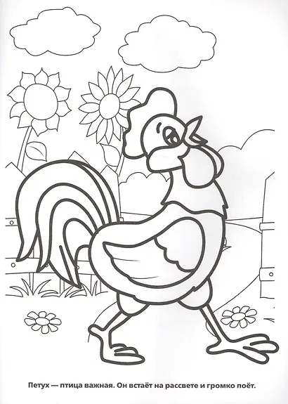 Домашние Животные. Прозрачные Страницы. - фото 2