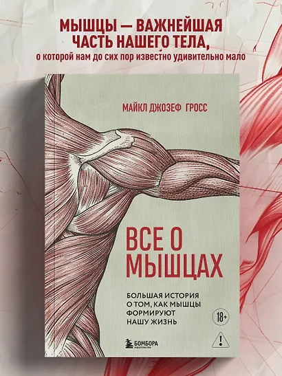 Все о мышцах. Большая история о том, как мышцы формируют нашу жизнь - фото 4