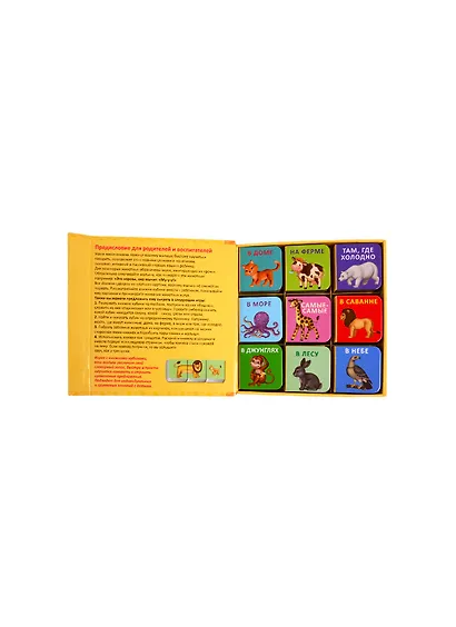 Животные. 9 книжек-кубиков - фото 6