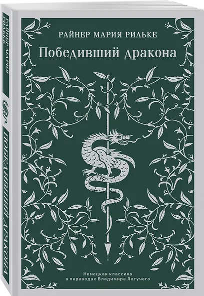 Победивший дракона - фото 3