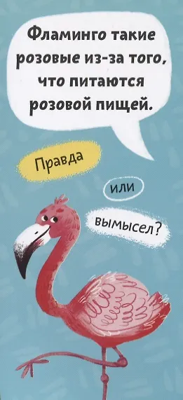 Удивительные животные. Книжка-веер для детей - фото 2