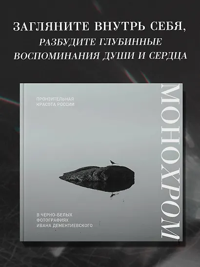 Монохром. Пронзительная красота России в черно-белых фотографиях Ивана Дементиевского - фото 4
