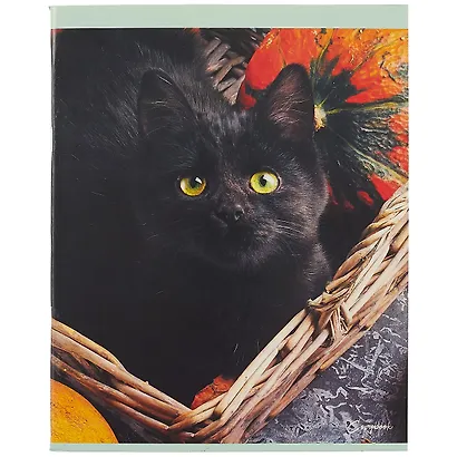 Тетрадь в линейку Unnika, "Кот без забот", 48 листов, в ассортименте - фото 3