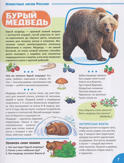 Я уЗНАЮ мир. Дикие животные. Познавательная книга для детей 4-8 лет - фото 3