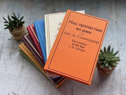 Над пропастью во ржи - фото 5