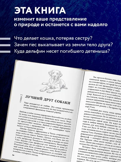 Как животные скорбят. Что чувствуют кошки, слоны, дельфины и другие, теряя близких - фото 5