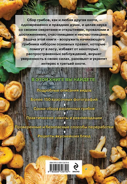 Грибная охота: советы опытного грибника - фото 2