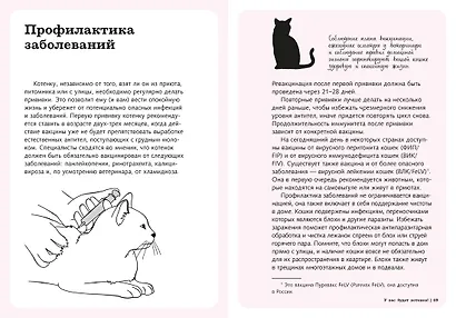 Гладить! Кормить! Любить! Замурчательное пособие по счастливой жизни с кошкой - фото 15