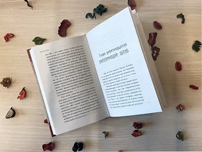 Черный чемоданчик Егора Лисицы - фото 10