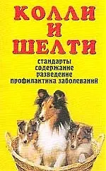 Колли и шелти - фото 1