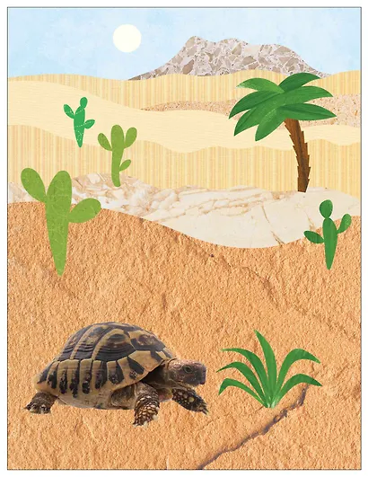 Фотонаклейки. В Африке - фото 3