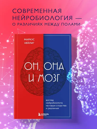 Он, она и мозг: взгляд нейробиолога на наши сходства и различия - фото 4