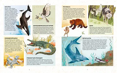 Удивительные животные. Самые-самые - фото 5