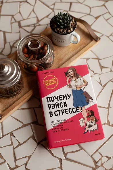 Почему Рэйса в стрессе? Как справиться с эмоциями на работе, найти себя и раскрыть свой потенциал - фото 6