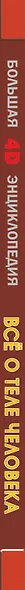 Всё о теле человека - фото 4