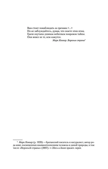 Беллмен и Блэк, или Незнакомец в черном - фото 10