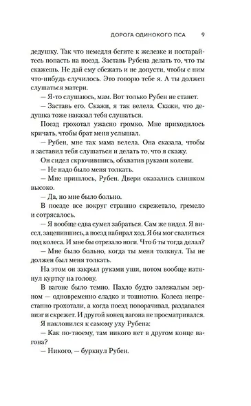 Дорога Одинокого Пса - фото 11