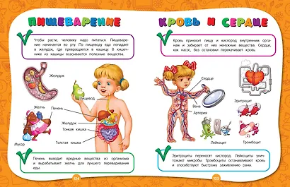 Полный годовой курс занятий: для детей 4-5 лет - фото 8