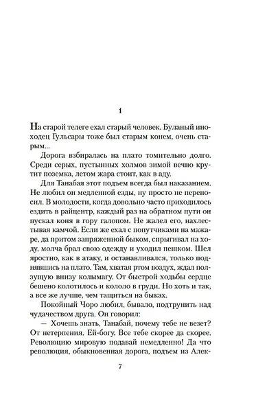 Прощай, Гульсары! - фото 8