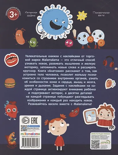 Анатомия. Играй и приклеивай - фото 2