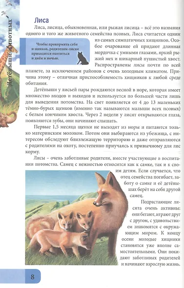 ЭНЦИКЛОПЕДИЯ. В МИРЕ ЗНАНИЙ. ДЕТЁНЫШИ ЖИВОТНЫХ - фото 4