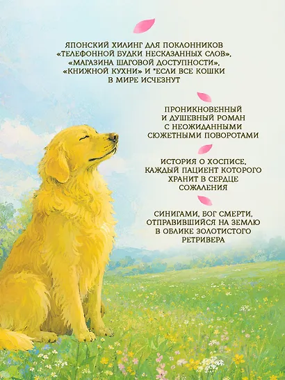 Золотистый ретривер у изголовья кровати - фото 2