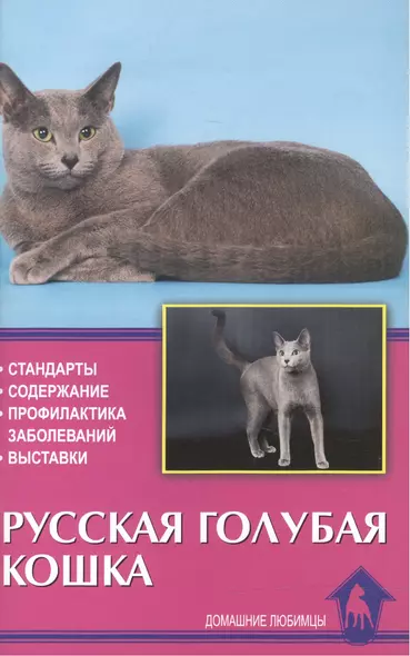 Русская голубая кошка. Стандарты. Содержание. Профилактика заболеваний. Выставки - фото 1