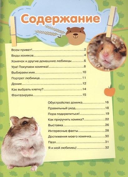 Как вырастить хомячка + наклейки внутри - фото 2