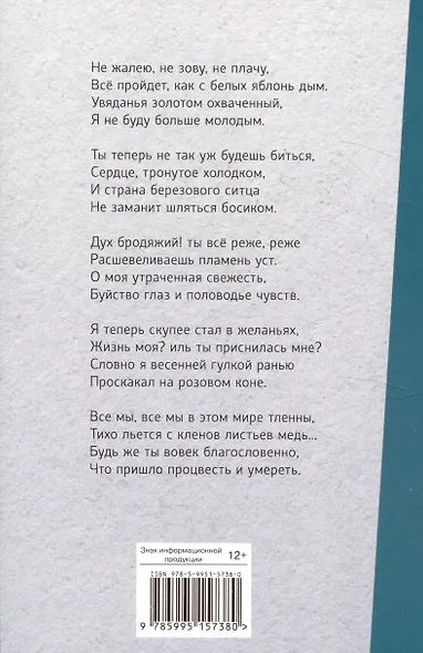 Внеклассное чтение. Не жалею, не зову, не плачу…. - фото 2
