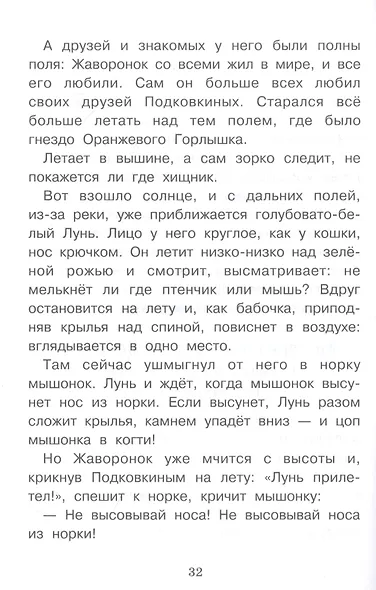 Оранжевое горлышко - фото 4