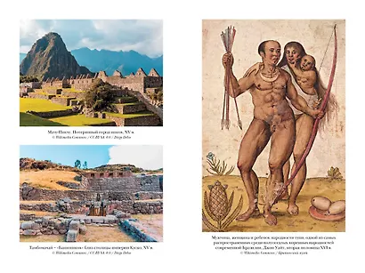 Хроники кипящей крови: Краткая история Латинской Америки - фото 13