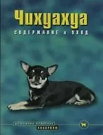 Чихуахуа: Содержание и уход - фото 1