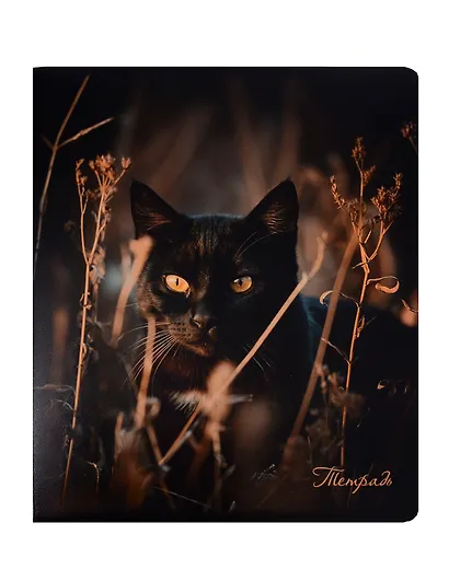 Тетрадь 48 листов, клетка, "Cats", в ассортименте - фото 3