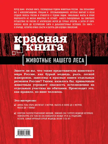 Красная книга. Животые нашего леса - фото 2
