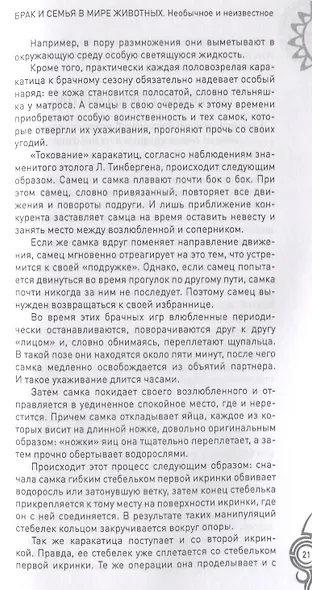 Брак и семья в мире животных. Необычное и неизвестное - фото 4