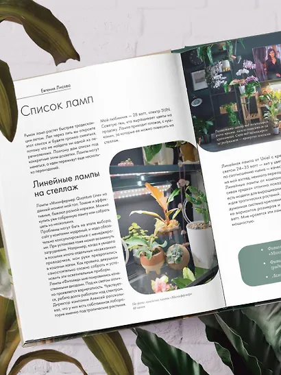 Заклинатель комнатных растений. Секретные лайфхаки от профессионального цветовода - фото 12