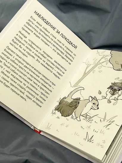 ПоШЕРСТим! Как массировать собаку - фото 5