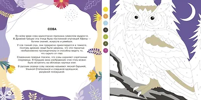 Животные - фото 10