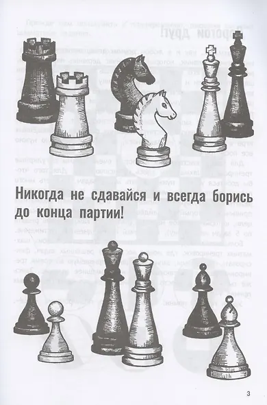 Дневник юного шахматиста с трекером тренировок и мотивацион.наклейками - фото 5