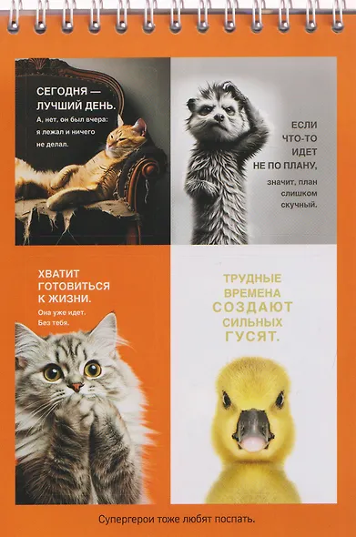 Дай себе год. И опять ничего не меняй. Стикербук с цитатами - фото 4
