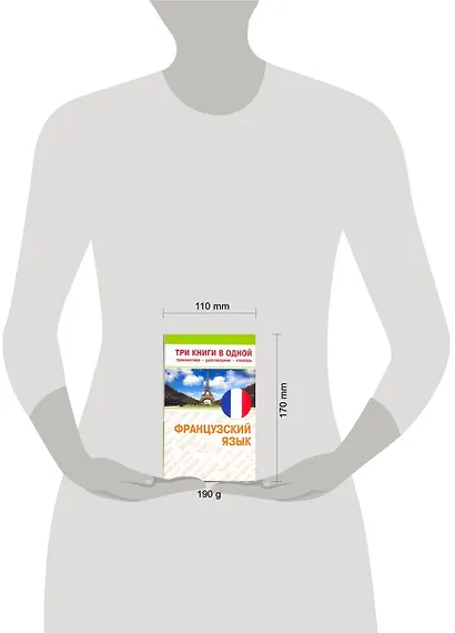 Французский язык. Три книги в одной. Грамматика, разговорник, словарь - фото 3